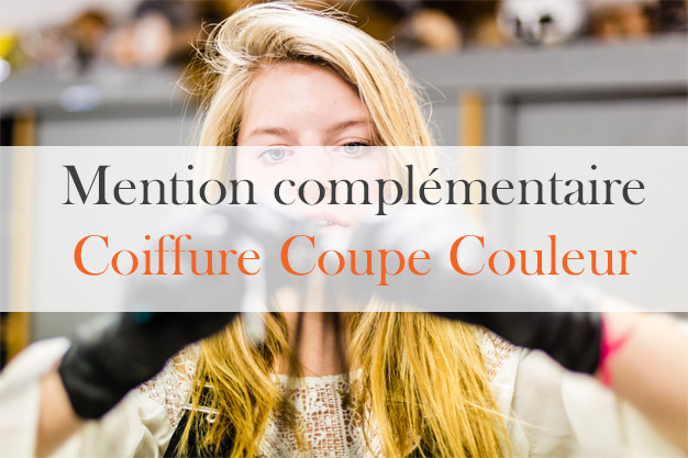 Livre De Coiffure Mention Complementaire / Diplome De ...